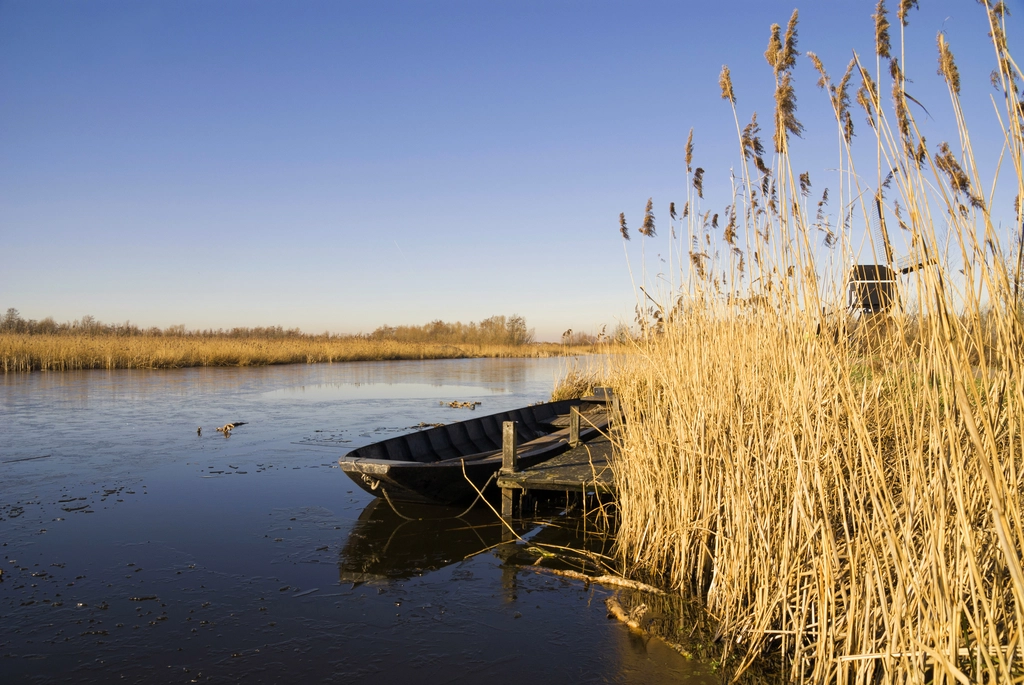 online marketing bureau zuid holland